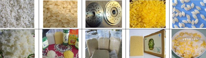 Artificial Rice Making Extruder