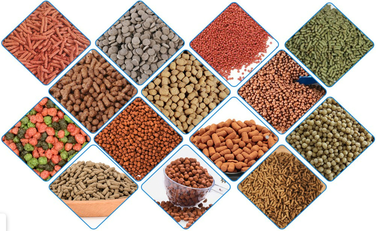 fish feed processing ine.jpg