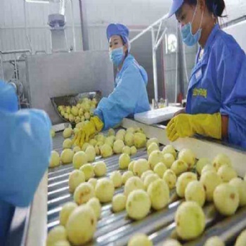 Fresh potato chips processing line